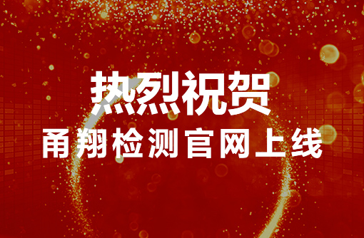 祝贺宁波甬翔检测技术有限责任公司官网上线